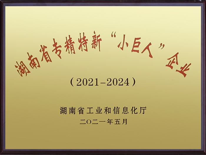 湖南江海环保-湖南专精特新“小巨人”企业证书